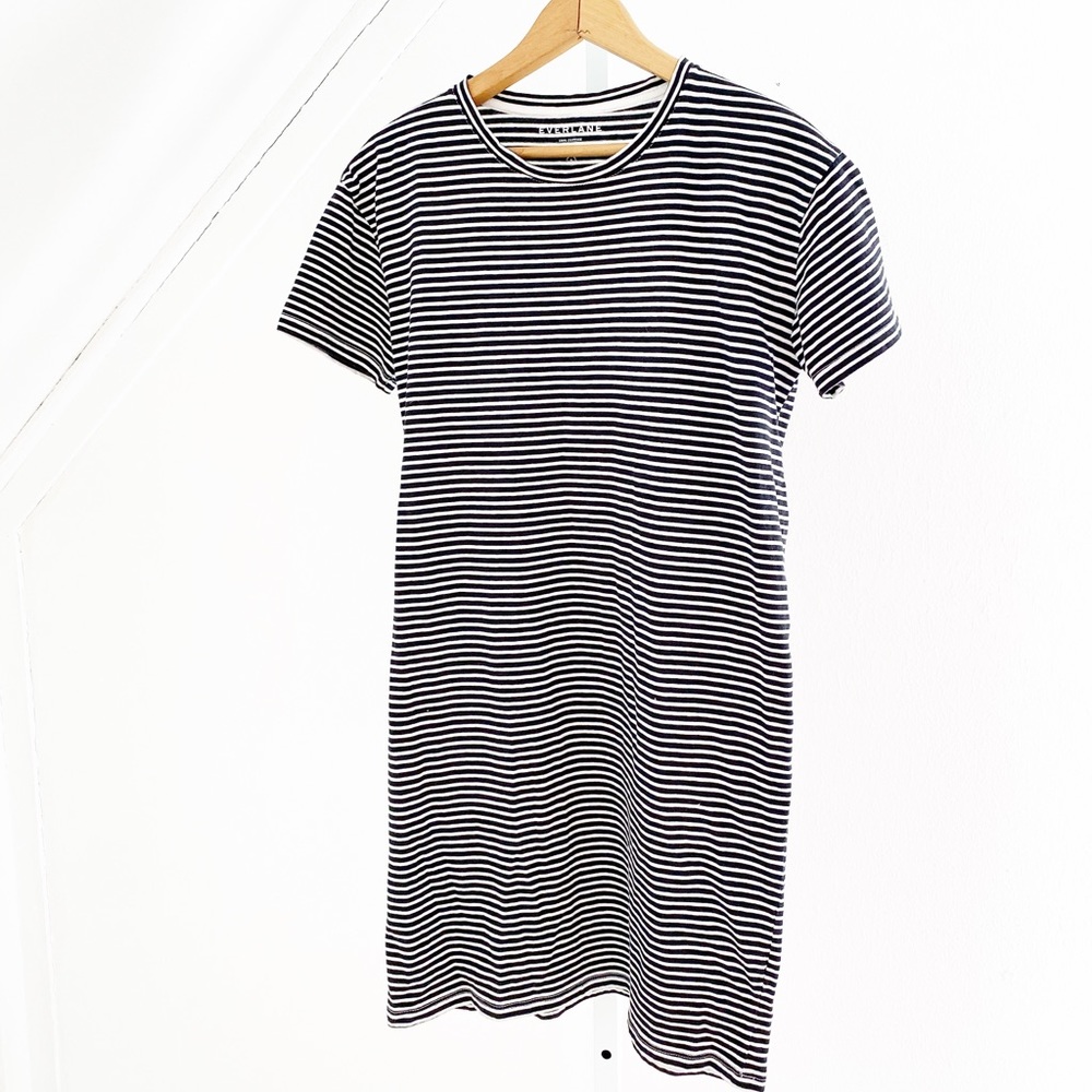 Everlane Black and White Striped Mini Dress